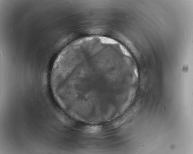 X0000103290161200809191839