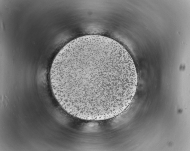 X0000103290162200809191839