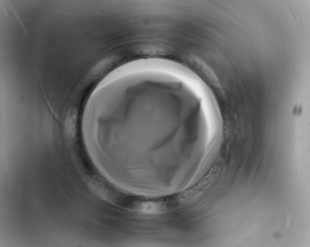 X0000103290163200809191839