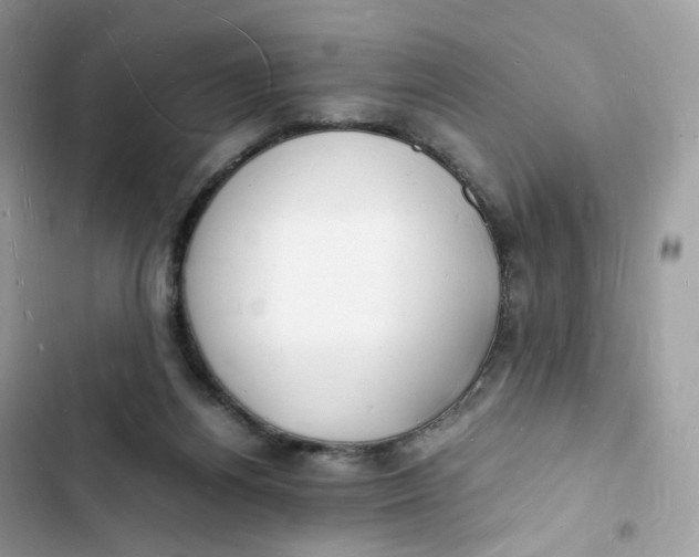 X0000103290164200809191839