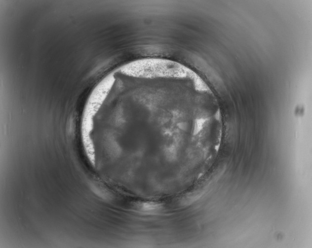 X0000103290165200809191839