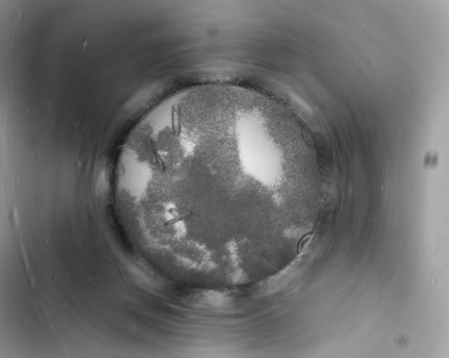 X0000103290166200809191839