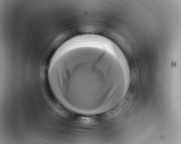 X0000103290167200809191839