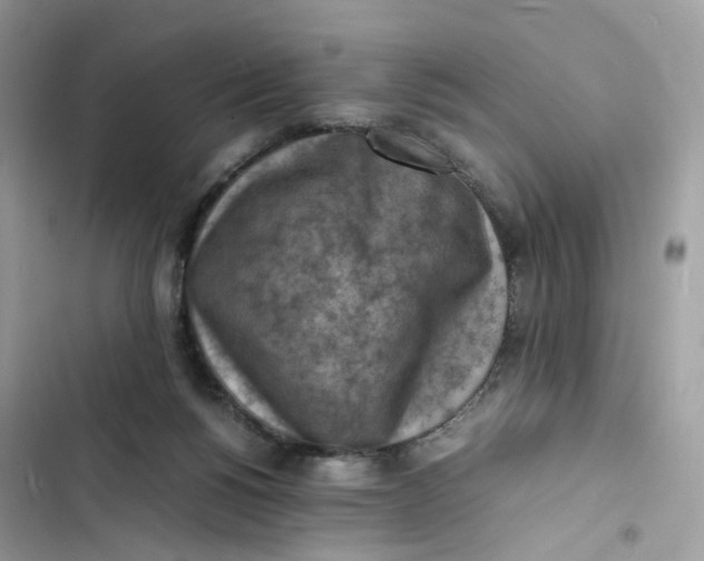 X0000103290168200809191839