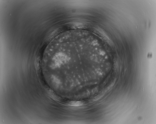 X0000103290169200809191839