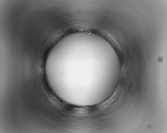 X0000103290170200809191839