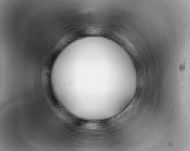 X0000103290171200809191839