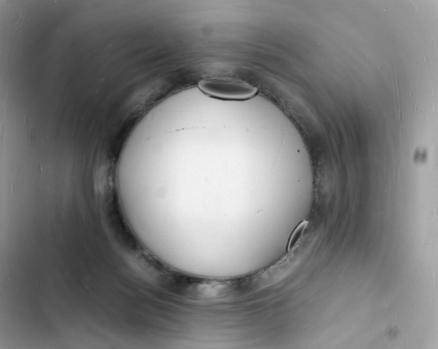 X0000103290172200809191839