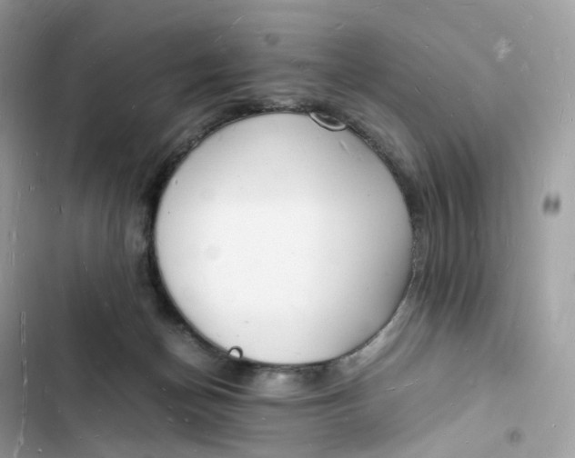 X0000103290174200809191839