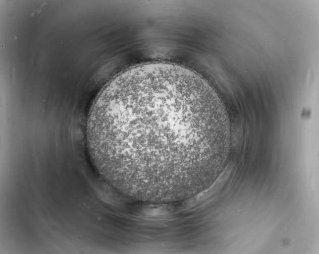 X0000103290175200809191839