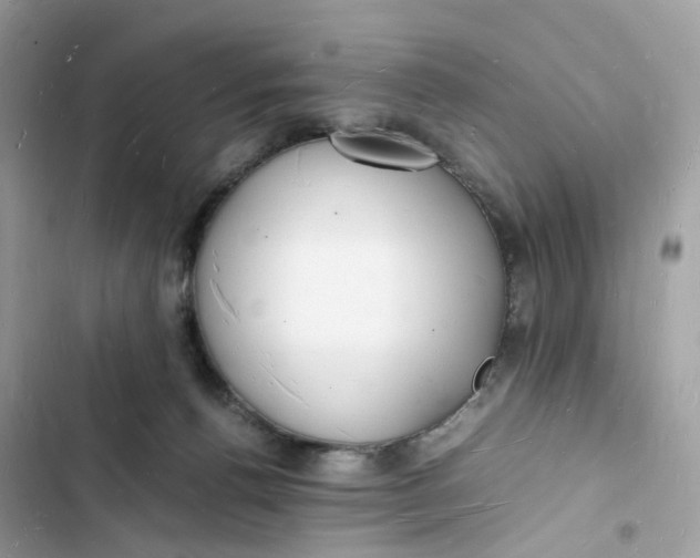 X0000103290176200809191839