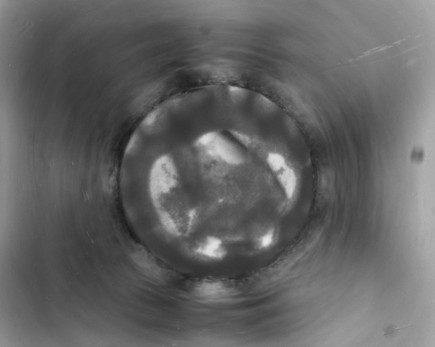 X0000103290177200809191839