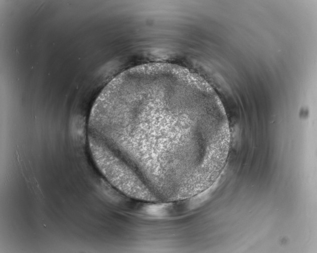 X0000103290178200809191839