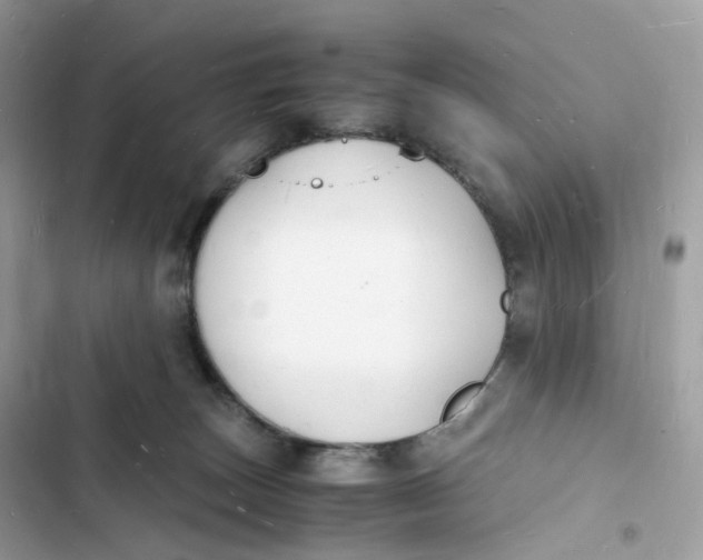 X0000103290179200809191839