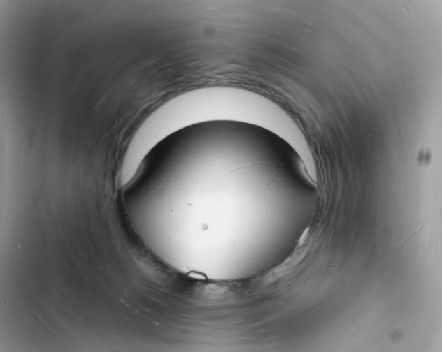 X0000103290180200809191839