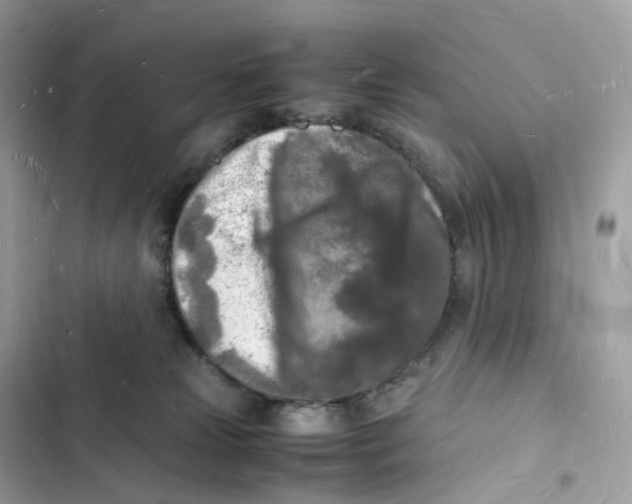 X0000103290181200809191839