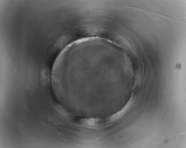 X0000103290182200809191839