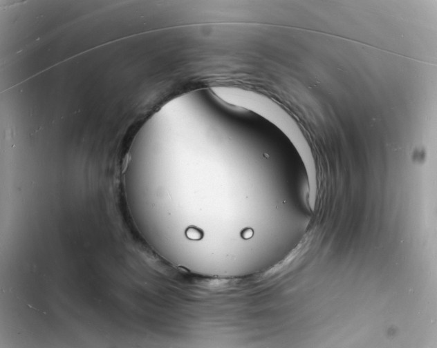 X0000103290184200809191839