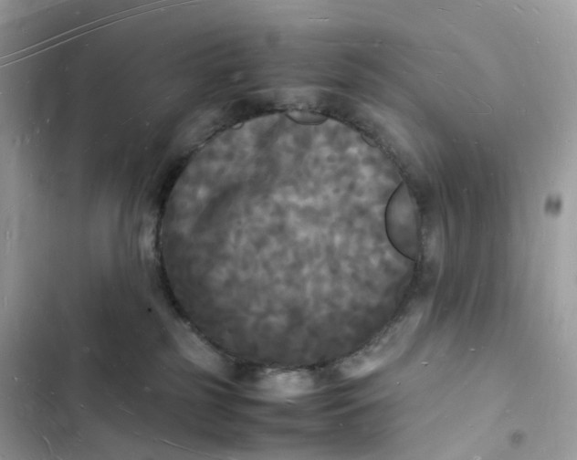 X0000103290185200809191839