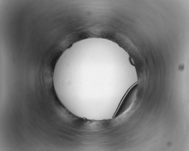 X0000103290186200809191839