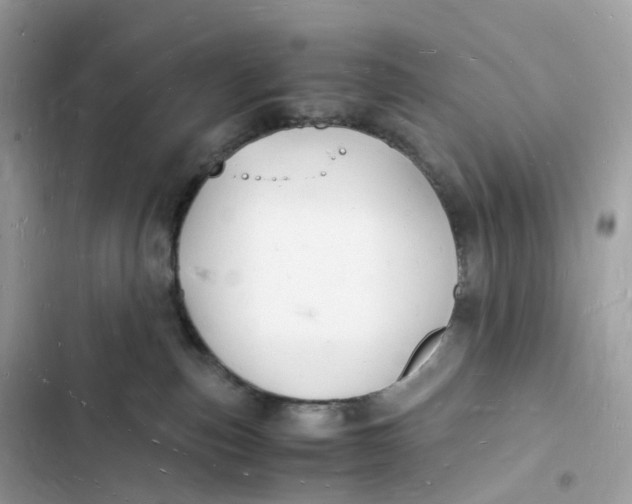 X0000103290187200809191839