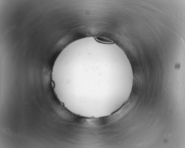 X0000103290188200809191839