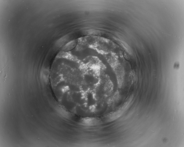 X0000103290189200809191839