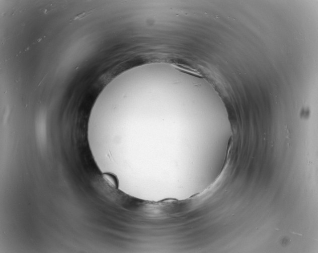 X0000103290190200809191839