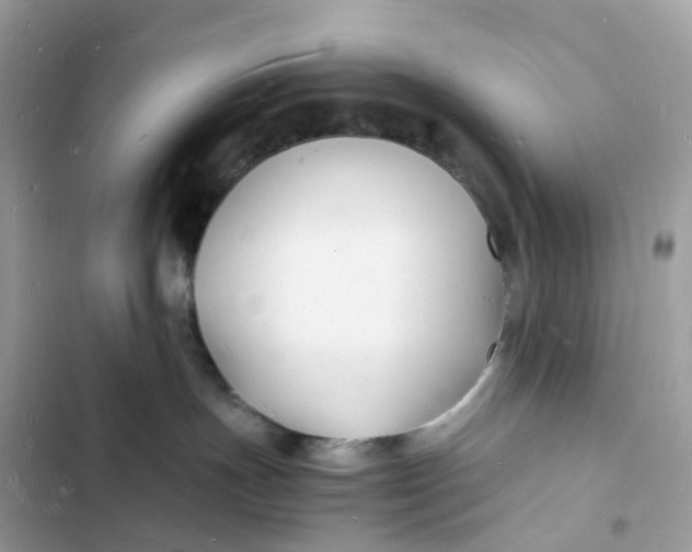 X0000103290191200809191839