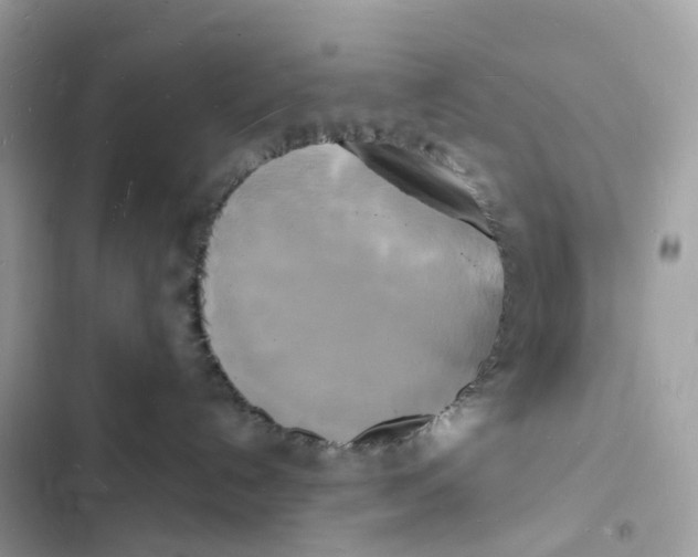 X0000103290192200809191839