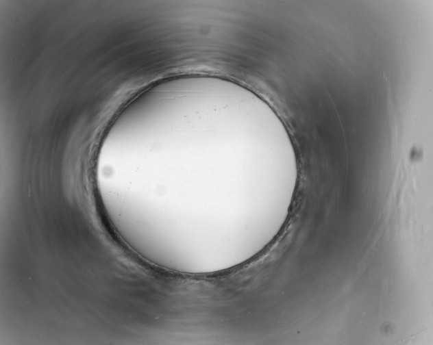 X0000103290193200809191839