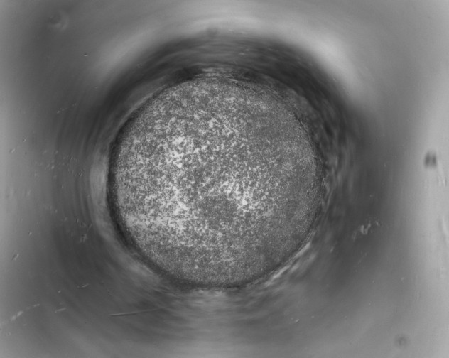 X0000103290194200809191839