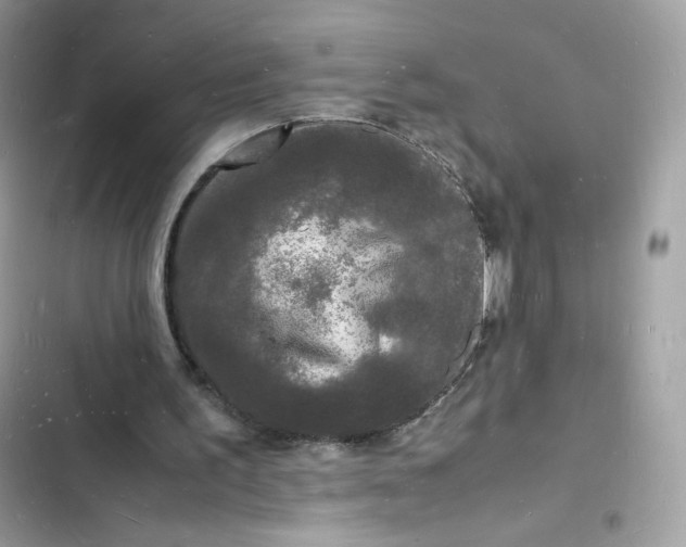 X0000103290195200809191839