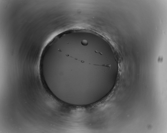 X0000103290196200809191839