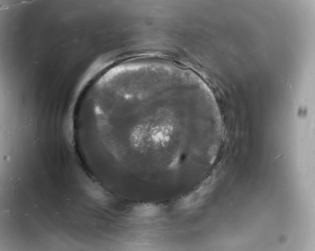 X0000103290198200809191839