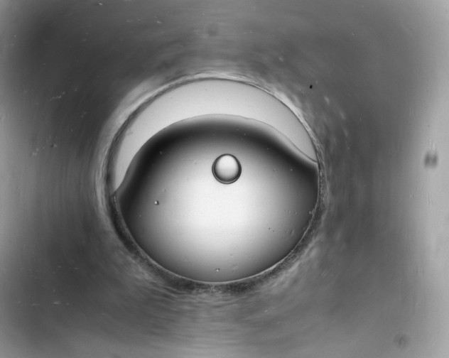 X0000103290199200809191839