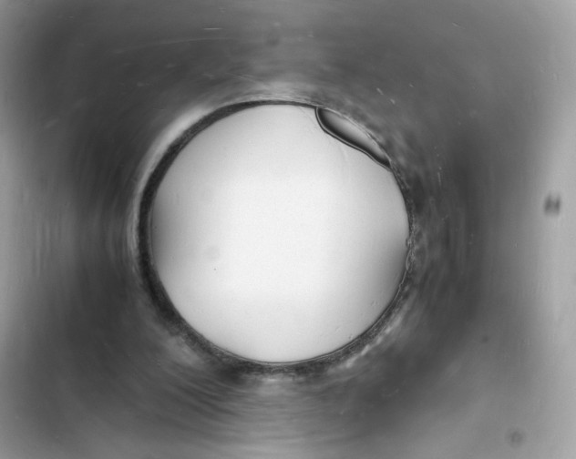 X0000103290200200809191839