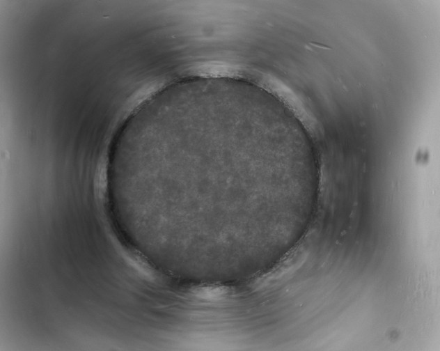 X0000103290202200809191839