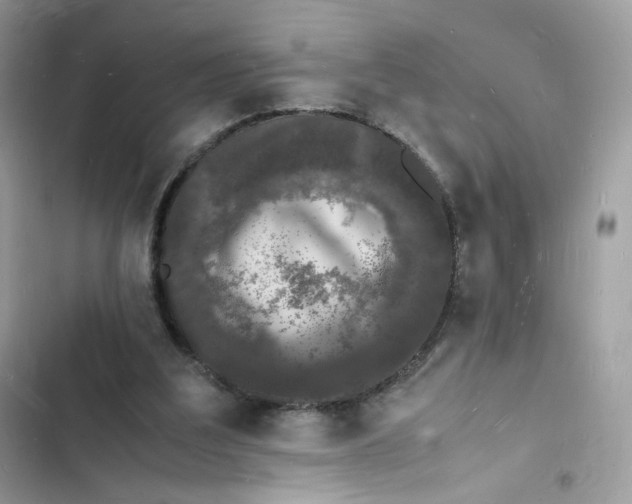 X0000103290203200809191839