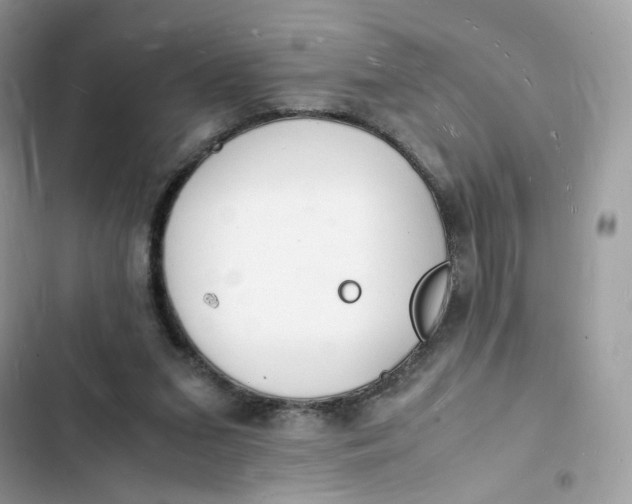 X0000103290207200809191839