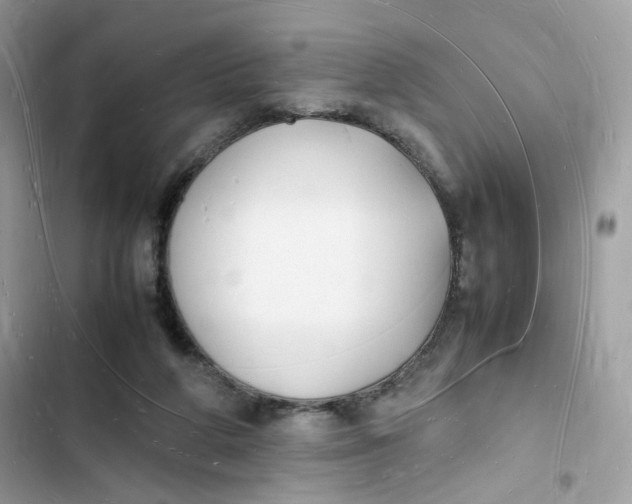 X0000103290210200809191839