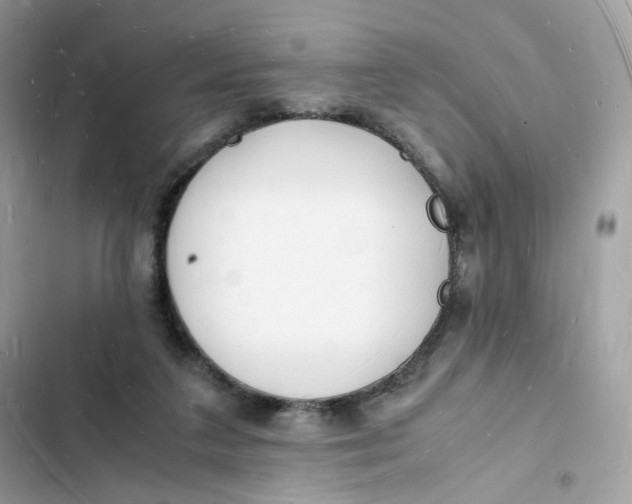 X0000103290211200809191838