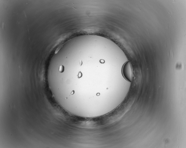 X0000103290212200809191838