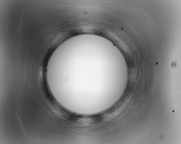 X0000103290213200809191838