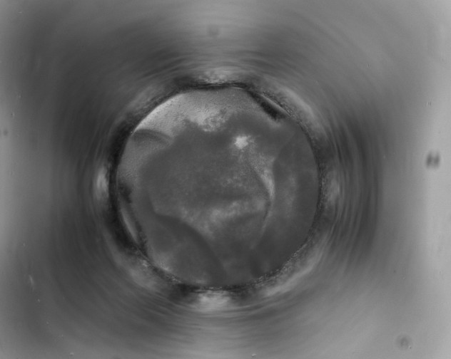 X0000103290214200809191838