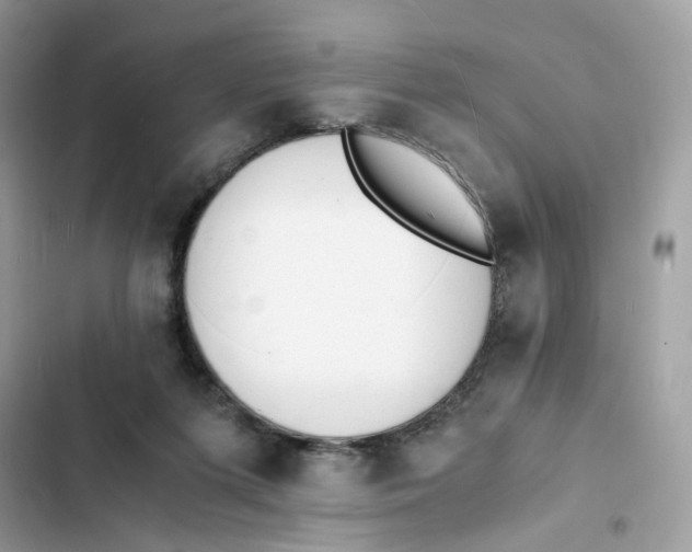 X0000103290215200809191838