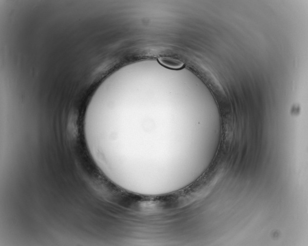 X0000103290216200809191838