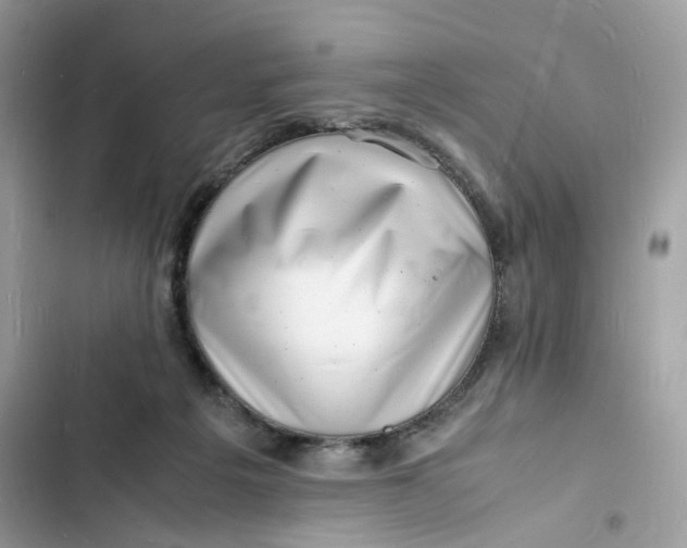 X0000103290217200809191838