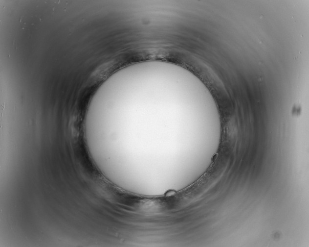 X0000103290218200809191838