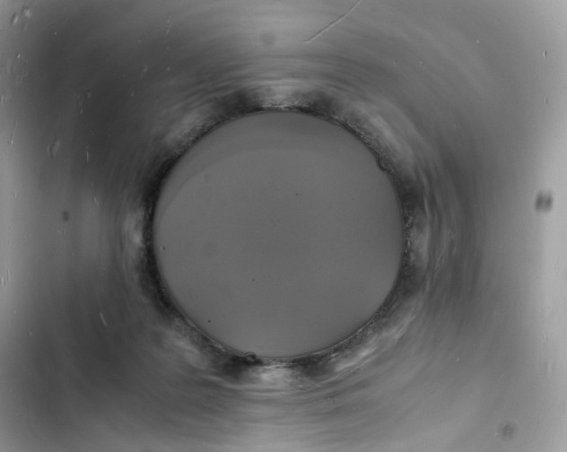 X0000103290219200809191838